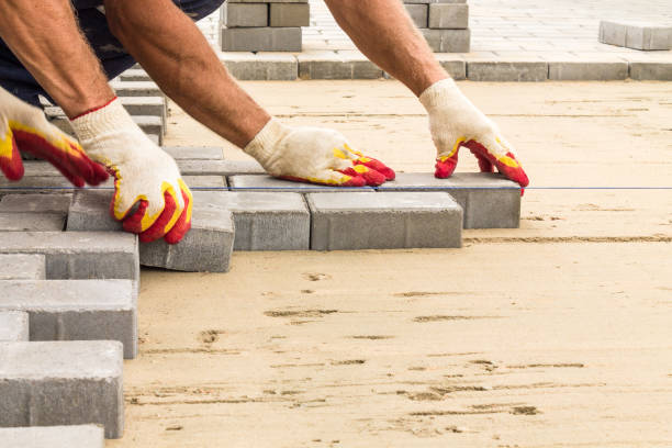 Best Best Driveway Pavers  in Orlovista, FL