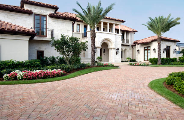 Best Driveway Paving Contractor  in Orlovista, FL
